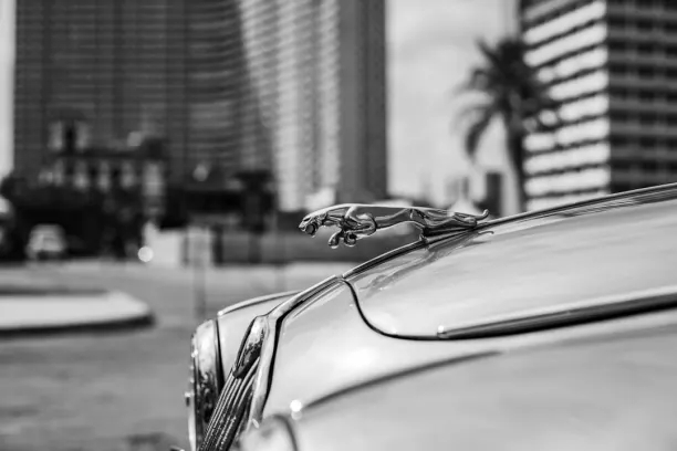 Kasino Prize Land Bingo Android/iOS Sovellus